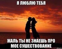 я люблю тебя жаль ты не знаешь про мое сушествование