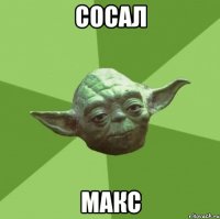 сосал макс