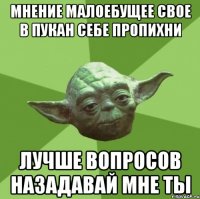 мнение малоебущее свое в пукан себе пропихни лучше вопросов назадавай мне ты