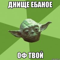 днище ебаное оф твой