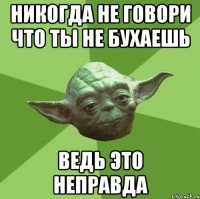 никогда не говори что ты не бухаешь ведь это неправда