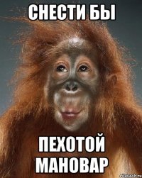 снести бы пехотой мановар