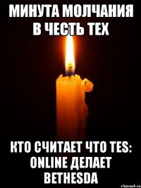 минута молчания в честь тех кто считает что tes: online делает bethesda