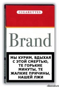 Мы курим, вдыхая с этой смертью, те горькие минуты, Те жалкие причины, нашей лжи