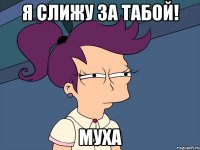 я слижу за табой! муха