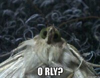  o rly?