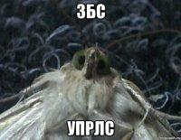 збс упрлс