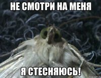 не смотри на меня я стесняюсь!
