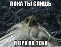 пока ты спишь я сру на тебя