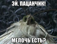 эй, пацанчик! мелочь есть?