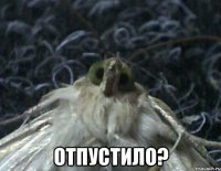  отпустило?