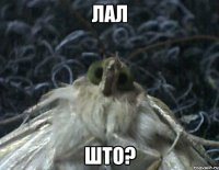 лал што?
