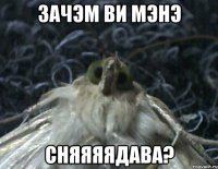 зачэм ви мэнэ сняяяядава?
