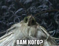  вам кого?