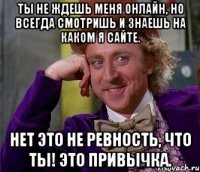 ты не ждешь меня онлайн, но всегда смотришь и знаешь на каком я сайте. нет это не ревность, что ты! это привычка.