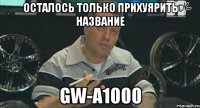 осталось только прихуярить название gw-a1000