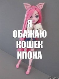 я обажаю кошек ипока