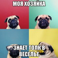 моя хозяйка знает толк в веселье