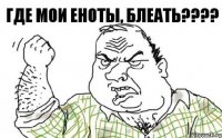 Где мои еноты, блеать???