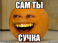 сам ты сучка