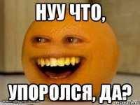 нуу что, упоролся, да?