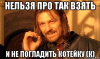 нельзя про так взять и не погладить котейку (к)