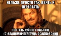 нельзя, просто так, взять и перестать постить хуйню в паблике (с)владимир перегуда-осадковский