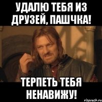 удалю тебя из друзей, пашчка! терпеть тебя ненавижу!