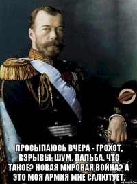  просыпаюсь вчера - грохот, взрывы, шум. пальба. что такое? новая мировая война? а это моя армия мне салютует.