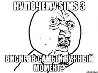 ну почему sims 3 виснет в самый нужный момент?