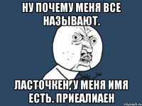 ну почему меня все называют. ласточкен, у меня имя есть. приеалиаен