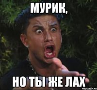 мурик, но ты же лах