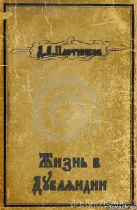 Д.А.Плотников Жизнь в Дубляндии