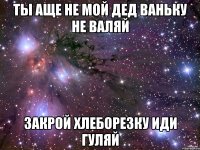 ты аще не мой дед ваньку не валяй закрой хлеборезку иди гуляй