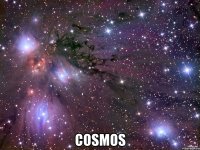  cosmos