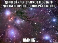 дорогой член, спасибо тебе за то, что ты не кровоточишь раз в месяц аминь