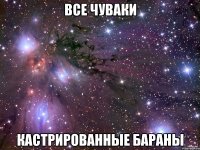 все чуваки кастрированные бараны