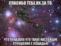 спасибо тебе,нх,за то, что показало,что такое настоящие отношения с лошадью