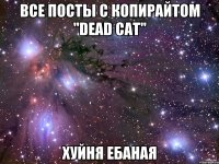 все посты с копирайтом "dead cat" хуйня ебаная