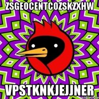 zsgeocentcozskzxhw vpstknkjejjner