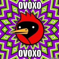 ovoxo ovoxo