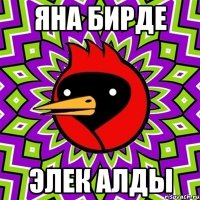 яна бирде элек алды