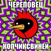 череповец копчиксвиней