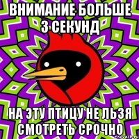 внимание больше 3 секунд на эту птицу не льзя смотреть срочно