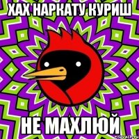 хах наркату куриш не махлюй