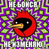 не бойся ! не изменяю !