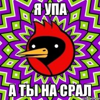 я упа а ты на срал