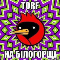 torf на білогорщі