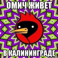 омич живет в калининграде