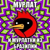мурлат и мурлатки из бразилии